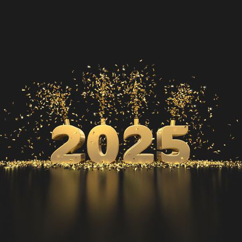 С Новым 2025 годом! С Новым 2025 годом!